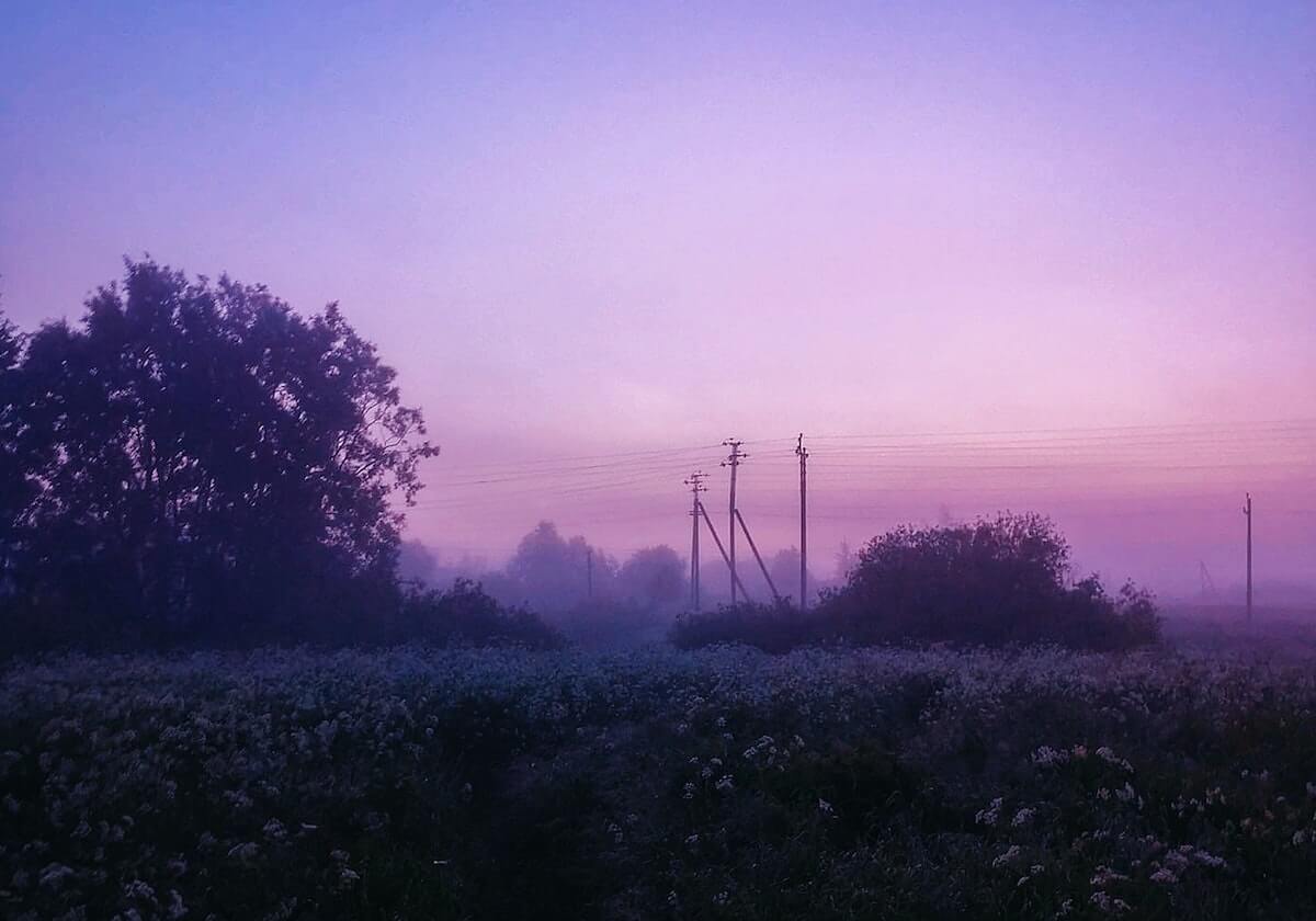 官方网站-巴西公布世界杯前最后一轮友谊赛国家队大名单